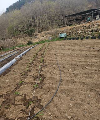 멧돼지님의 기타작물 · 영농일지 작성글 사진