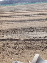 팜모닝 파·영농일지 게시글 이미지