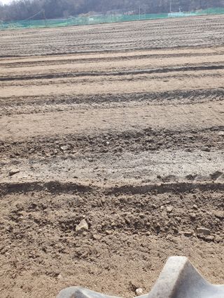 장정구님의 파 · 영농일지 작성글 사진