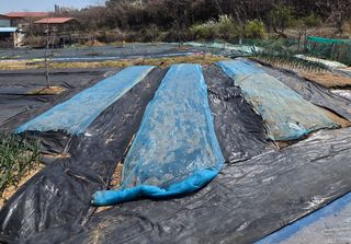 정찬길 님의 기타작물 · 영농일지 작성글 사진