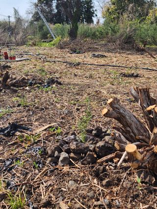 한재범님의 기타작물 · 영농일지 작성글 사진