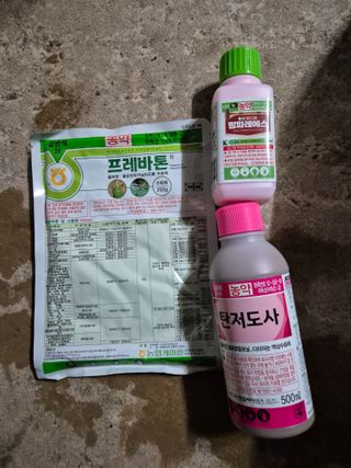 정진필님의 기타작물 · 영농일지 작성글 사진