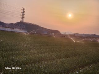 박종권님의 마늘 · 영농일지 작성글 사진