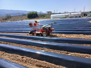 최남옥님의 기타작물 · 영농일지 작성글 사진