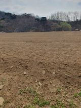 팜모닝 파·영농일지 게시글 이미지