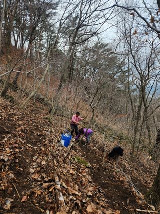 방태산용님의 기타작물 · 영농일지 작성글 사진