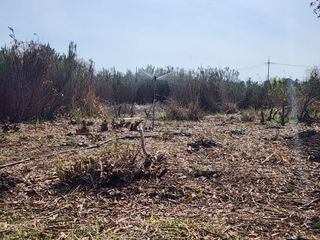 한재범님의 기타작물 · 영농일지 작성글 사진