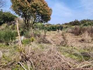 한재범님의 기타작물 · 영농일지 작성글 사진