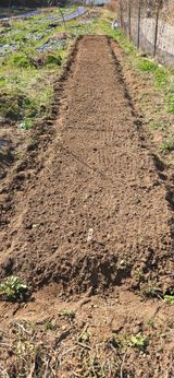 팜모닝 기타작물·영농일지 게시글 이미지