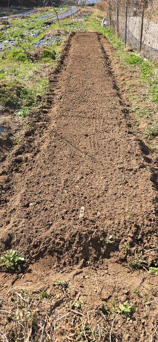 돌복숭아님의 기타작물 · 영농일지 작성글 사진