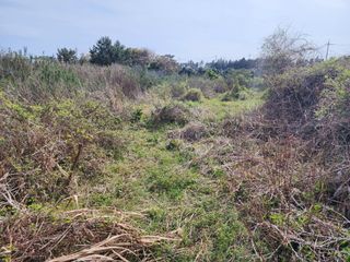 한재범님의 기타작물 · 영농일지 작성글 사진