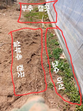 안승호님의 기타작물 · 영농일지 작성글 사진