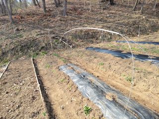 김홍중님의 기타작물 · 영농일지 작성글 사진