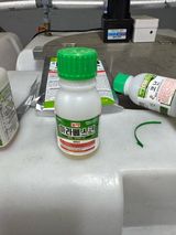 팜모닝 딸기·영농일지 게시글 이미지