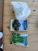 팜모닝 블루베리·영농일지 게시글 이미지