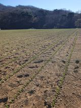 팜모닝 파·영농일지 게시글 이미지