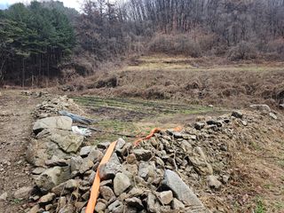 대파14665님의 기타작물 · 영농일지 작성글 사진