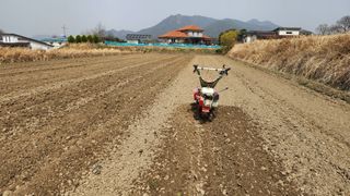 이규섭님의 블루베리 · 영농일지 작성글 사진