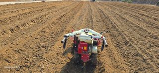 에바다님의 기타작물 · 영농일지 작성글 사진