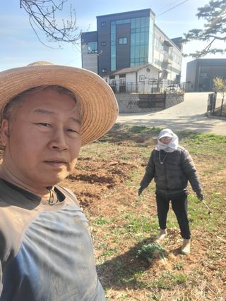 로만아빠님의 감자 · 영농일지 작성글 사진