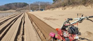 박사원농장님의 기타작물 · 영농일지 작성글 사진