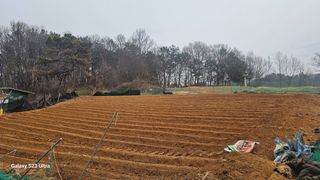 임일재님의 기타작물 · 영농일지 작성글 사진