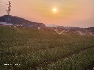 박종권님의 마늘 · 영농일지 작성글 사진