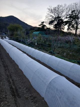 이광희님의 기타작물 · 영농일지 작성글 사진