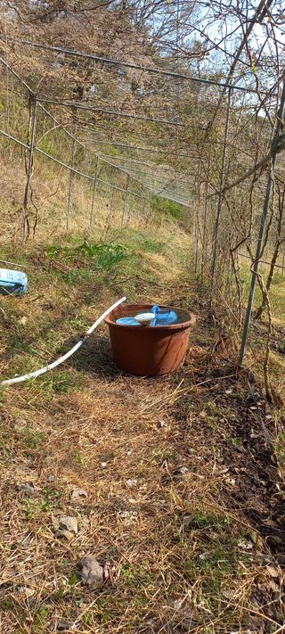 정석채님의 기타작물 · 영농일지 작성글 사진