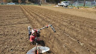 김남근님의 감자 · 영농일지 작성글 사진