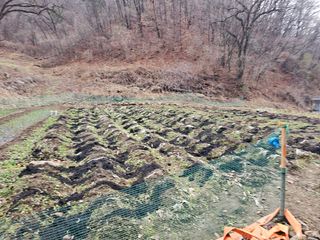 대파14665님의 기타작물 · 영농일지 작성글 사진