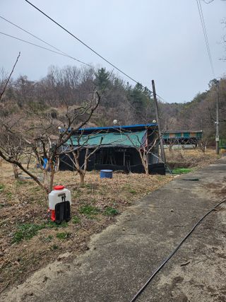 지식농부님의 감 · 영농일지 작성글 사진