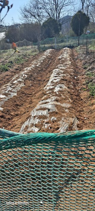 김윤철님의 감자 · 영농일지 작성글 사진