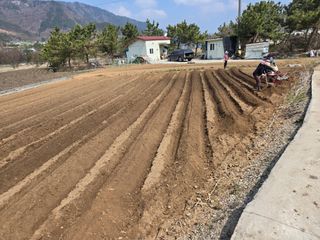 박준호님의 기타작물 · 영농일지 작성글 사진