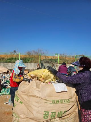 강선미님의 기타작물 · 영농일지 작성글 사진