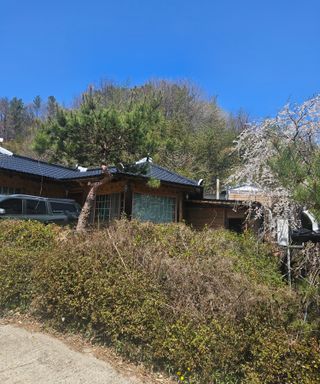 멧돼지님의 기타작물 · 영농일지 작성글 사진