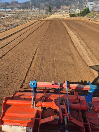 인호님의 참깨 · 영농일지 작성글 사진