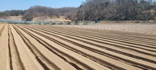 박사원농장님의 기타작물 · 영농일지 작성글 사진