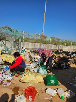 강선미님의 기타작물 · 영농일지 작성글 사진