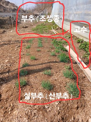 안승호님의 기타작물 · 영농일지 작성글 사진