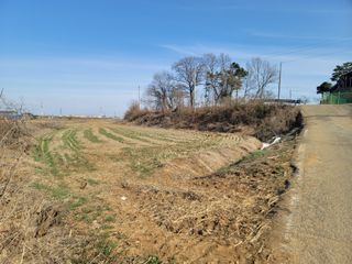 로만아빠님의 벼 · 영농일지 작성글 사진