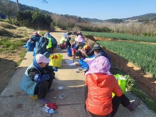 정해원.님의 양파 · 영농일지 작성글 사진