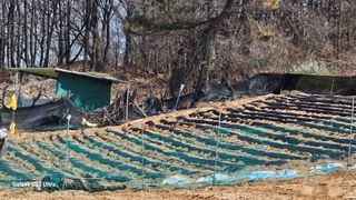 임일재님의 기타작물 · 영농일지 작성글 사진