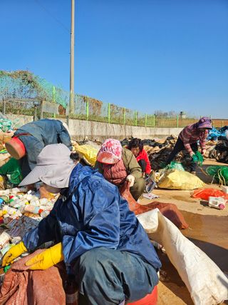 강선미님의 기타작물 · 영농일지 작성글 사진