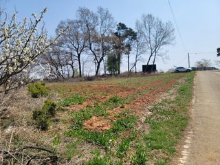 로만아빠님의 기타작물 · 영농일지 작성글 사진