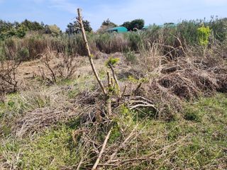 한재범님의 기타작물 · 영농일지 작성글 사진