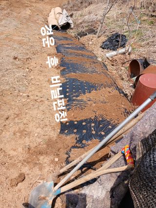 안승호님의 기타작물 · 영농일지 작성글 사진