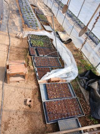 백영호님의 기타작물 · 영농일지 작성글 사진