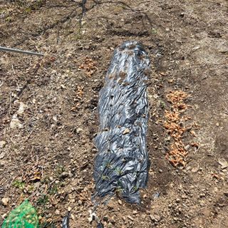 양배추21889님의 복숭아 · 영농일지 작성글 사진