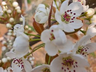 박미스터님의 기타작물 · 영농일지 작성글 사진